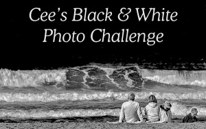 Cee's Black & White